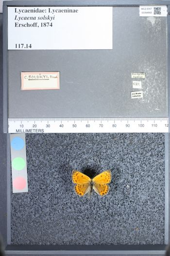 Media type: image;   Entomology 64893